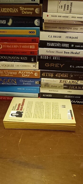 HASRETİM DERİN UYKULARDA - ADANMIŞ HAYATLAR 1 - Görsel 2