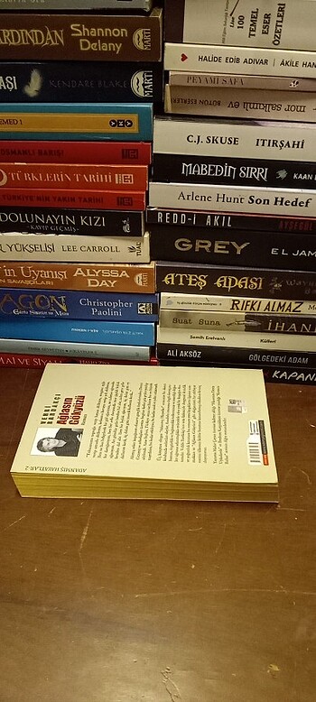 ADANMIŞ HAYATLAR 2 - AĞLASIN GÖKYÜZÜ  - Görsel 2