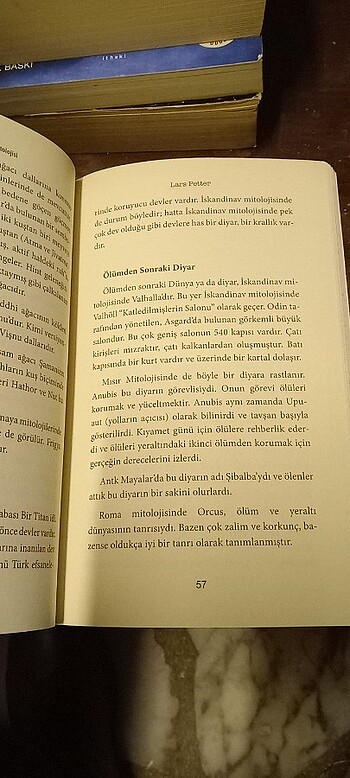 Vikingler - İskandinav Mitolojisi / Mitoloji Kitapları Serisi

 - Görsel 7