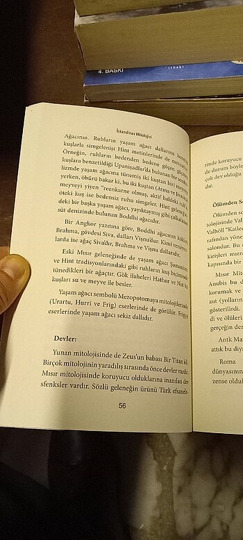 Vikingler - İskandinav Mitolojisi / Mitoloji Kitapları Serisi

 - Görsel 8