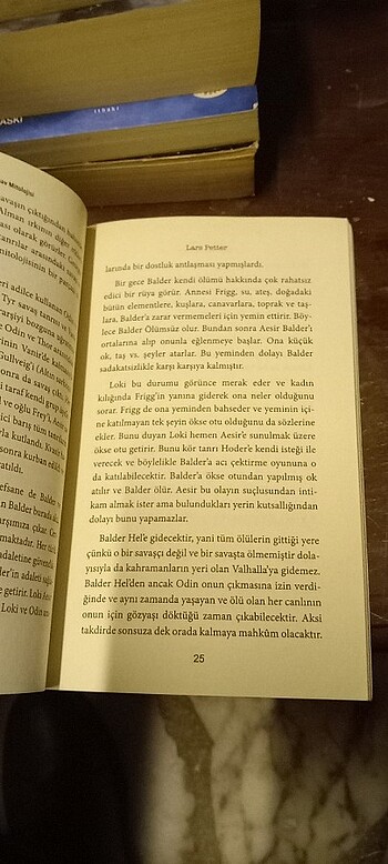 Vikingler - İskandinav Mitolojisi / Mitoloji Kitapları Serisi

 - Görsel 14