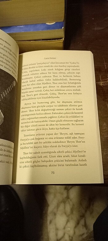 Vikingler - İskandinav Mitolojisi / Mitoloji Kitapları Serisi

 - Görsel 20