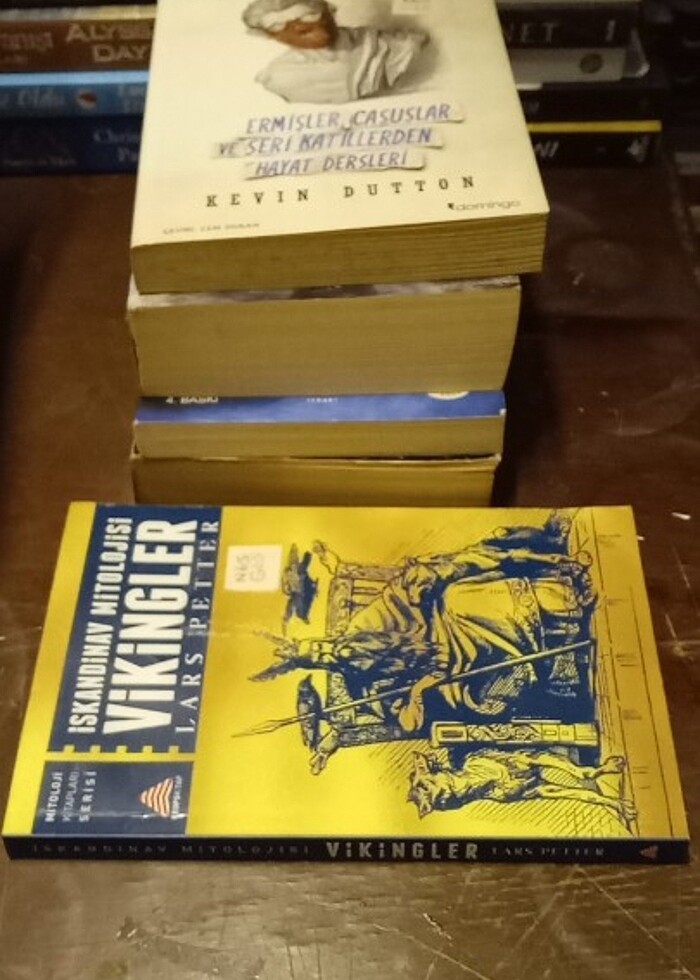 Vikingler - İskandinav Mitolojisi / Mitoloji Kitapları Serisi

 - Görsel 4