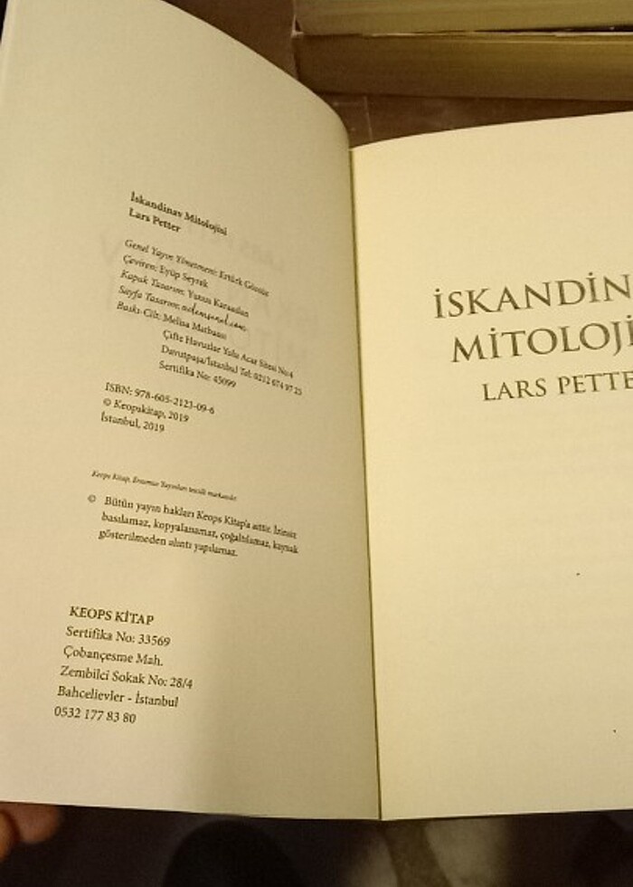 Vikingler - İskandinav Mitolojisi / Mitoloji Kitapları Serisi

 - Görsel 5