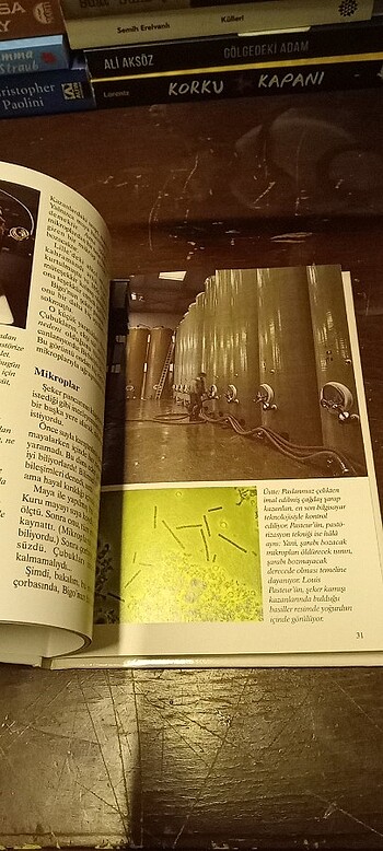 İNSANLIK TARİHİNE YÖN VERENLER - Görsel 16