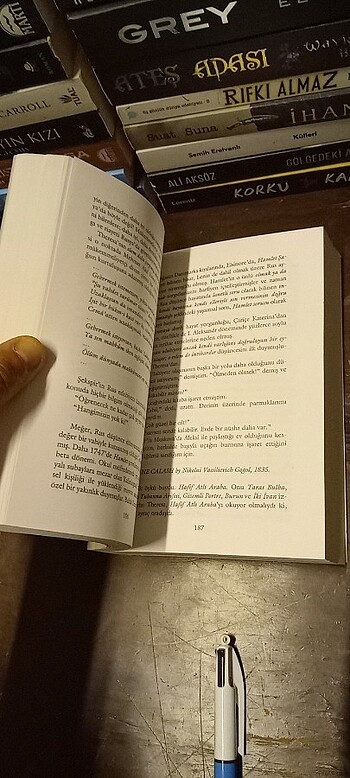 AYDINLANMA DEĞİL, MERHAMET! - GOGOL'UN İZİNDE / okuma kopyası  - Görsel 14