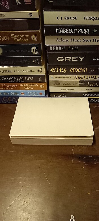 AYDINLANMA DEĞİL, MERHAMET! - GOGOL'UN İZİNDE / okuma kopyası  - Görsel 15