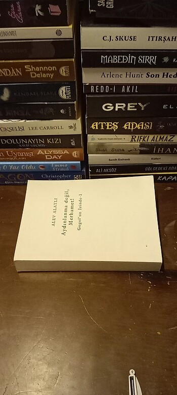 AYDINLANMA DEĞİL, MERHAMET! - GOGOL'UN İZİNDE / okuma kopyası  - Görsel 16