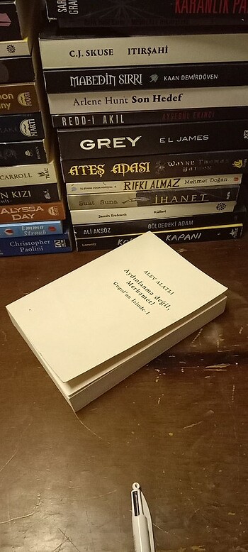 AYDINLANMA DEĞİL, MERHAMET! - GOGOL'UN İZİNDE / okuma kopyası  - Görsel 17