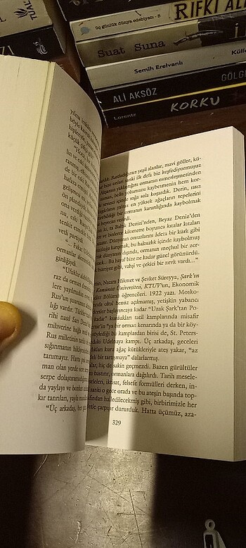 AYDINLANMA DEĞİL, MERHAMET! - GOGOL'UN İZİNDE / okuma kopyası  - Görsel 19