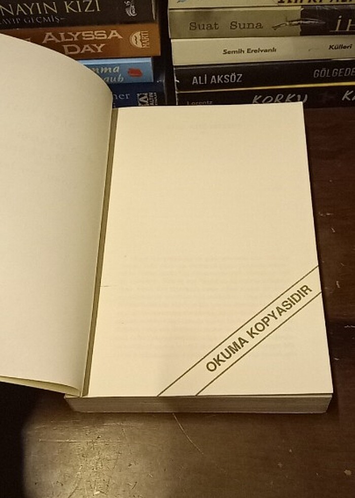 AYDINLANMA DEĞİL, MERHAMET! - GOGOL'UN İZİNDE / okuma kopyası  - Görsel 2