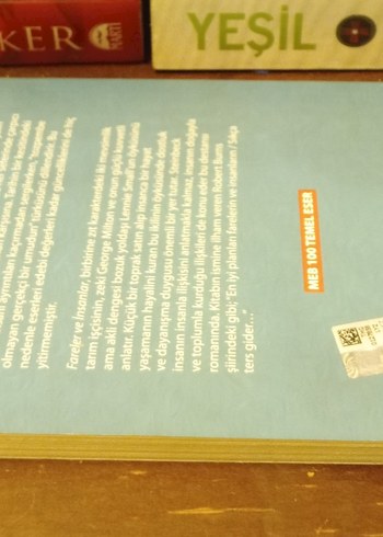 Beden Fareler ve İnsanlar - John Steinbeck