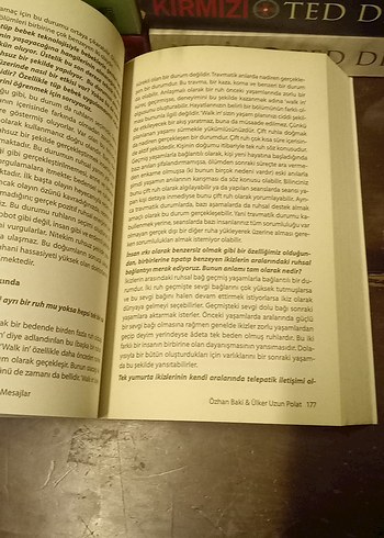 Delphinus Bilgeliği'nden Mesajlar - Ülker Uzun Polat - Görsel 9