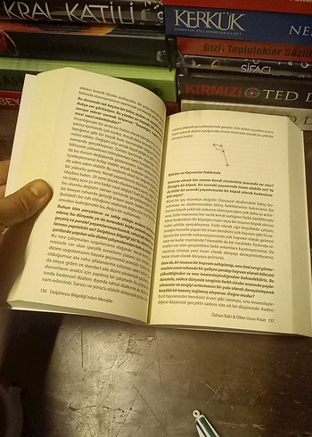 Delphinus Bilgeliği'nden Mesajlar - Ülker Uzun Polat - Görsel 11