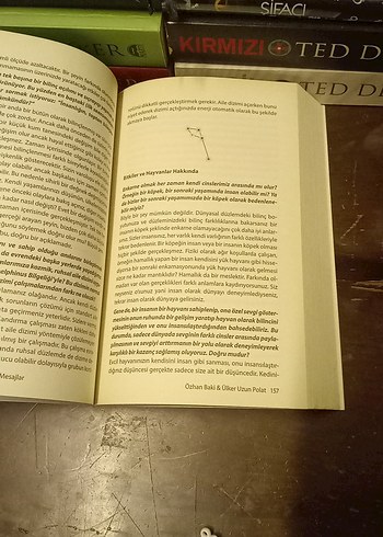 Delphinus Bilgeliği'nden Mesajlar - Ülker Uzun Polat - Görsel 13