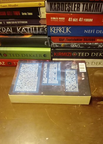 Delphinus Bilgeliği'nden Mesajlar - Ülker Uzun Polat - Görsel 2