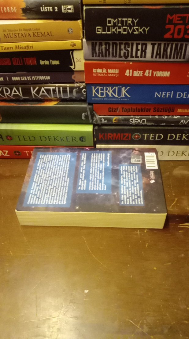 Delphinus Bilgeliği'nden Mesajlar - Ülker Uzun Polat - Görsel 2