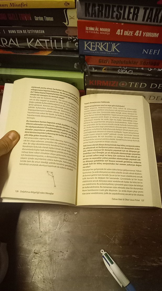 Delphinus Bilgeliği'nden Mesajlar - Ülker Uzun Polat - Görsel 3