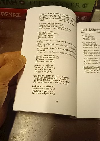 Pratik Rumence Konuşma Kılavuzu - Görsel 8