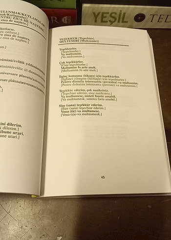 Pratik Rumence Konuşma Kılavuzu - Görsel 7