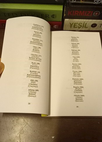 Pratik Rumence Konuşma Kılavuzu - Görsel 9