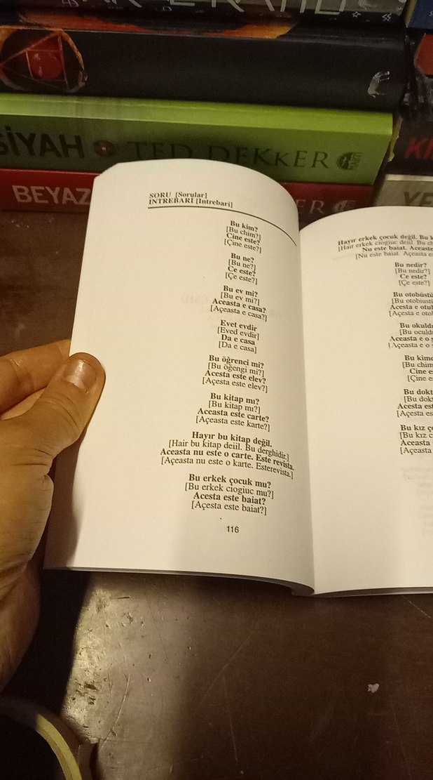 Pratik Rumence Konuşma Kılavuzu - Görsel 4