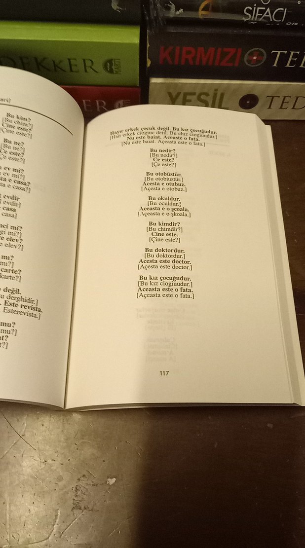 Pratik Rumence Konuşma Kılavuzu - Görsel 5