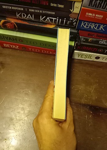 SERRAS TAGEBUCH - İPEK ONGUN ( ALMANCA ) - Görsel 12