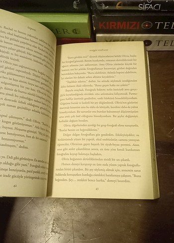 Ürperti - Maggie Stiefvater - Görsel 13