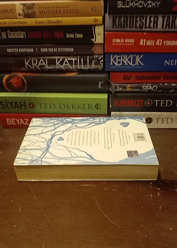 Ürperti - Maggie Stiefvater - Görsel 2