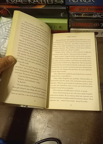 Ürperti - Maggie Stiefvater - Görsel 12