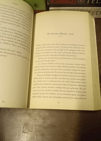 Ürperti - Maggie Stiefvater - Görsel 11