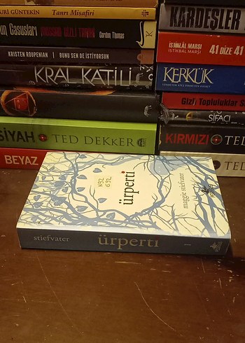 Ürperti - Maggie Stiefvater - Görsel 3