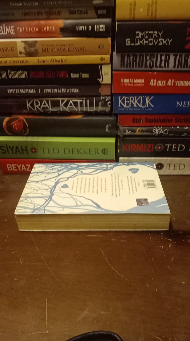 Ürperti - Maggie Stiefvater - Görsel 2