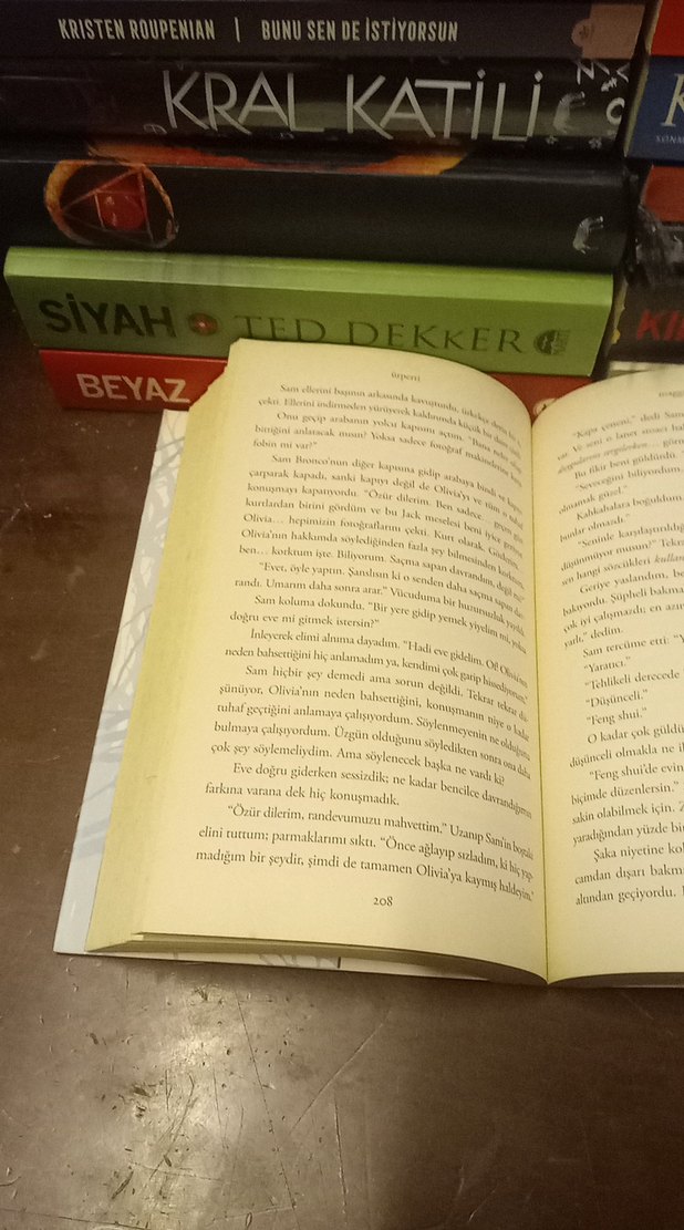 Ürperti - Maggie Stiefvater - Görsel 5