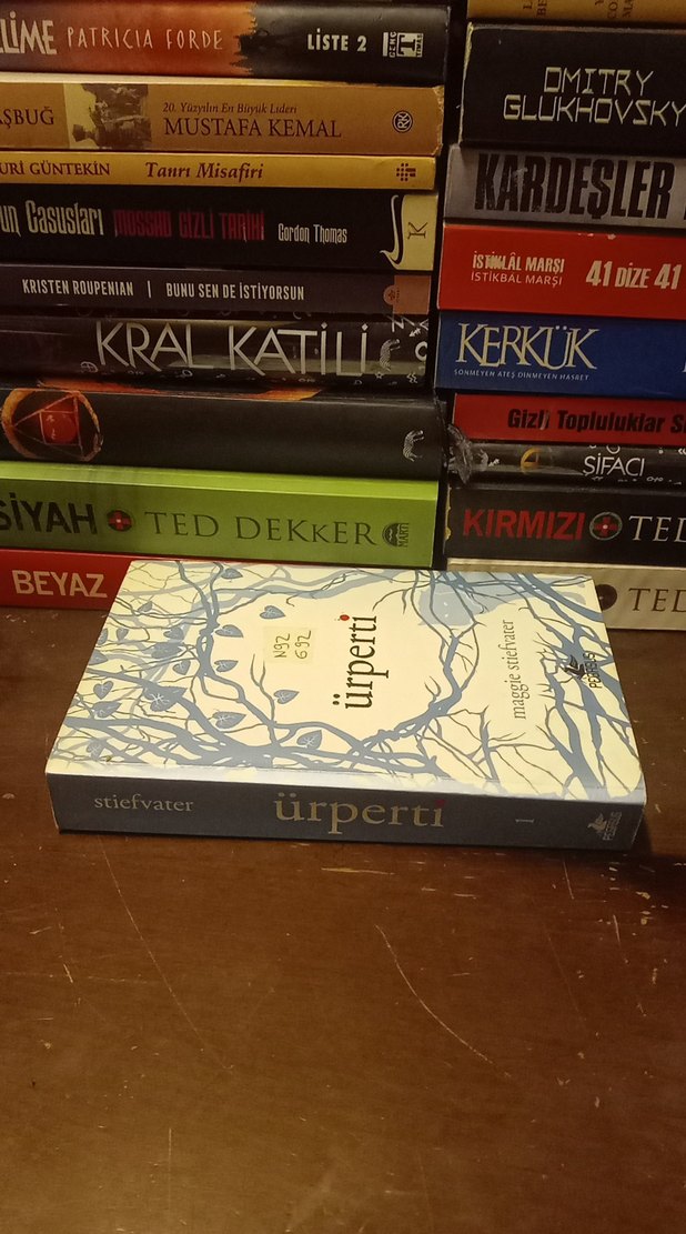 Ürperti - Maggie Stiefvater - Görsel 3