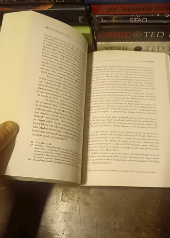 Hukuka Giriş - Aydın Aybay & Rona Aybay - Görsel 14