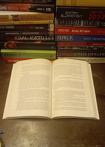 Hukuka Giriş - Aydın Aybay & Rona Aybay - Görsel 3