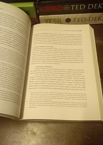 Hukuka Giriş - Aydın Aybay & Rona Aybay - Görsel 6