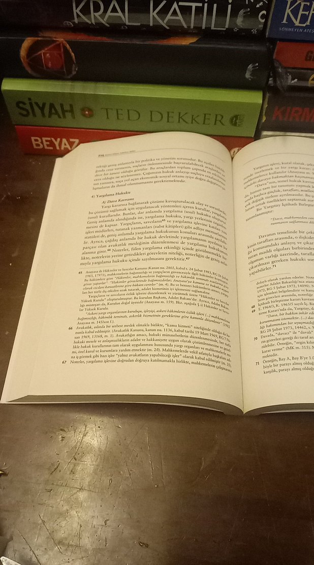 Hukuka Giriş - Aydın Aybay & Rona Aybay - Görsel 4