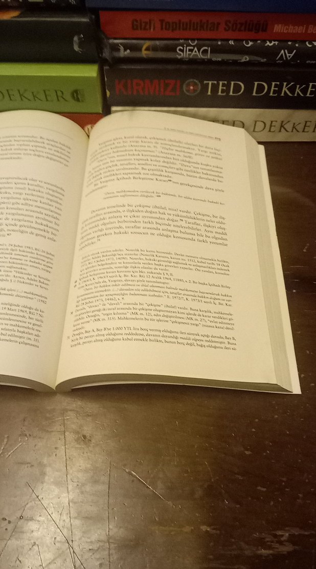 Hukuka Giriş - Aydın Aybay & Rona Aybay - Görsel 5