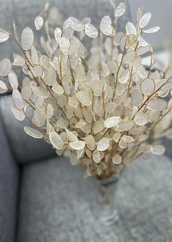 SEDEF ÇİÇEĞİ - Görsel 2