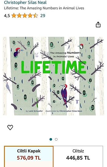  Beden Renk Life Time İngilizce kitap lola schaefer