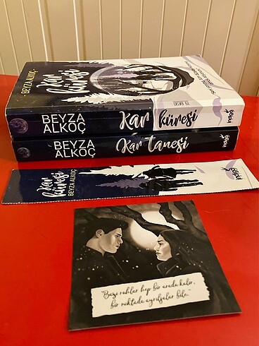 Beyza Alkoç, Kar tanesi, kar küresi kitap