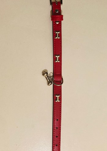 Kırmızı Kemik Detaylı, Deri Köpek Tasması - Görsel 2