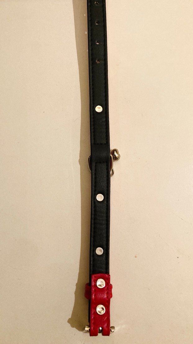 Kırmızı Kemik Detaylı, Deri Köpek Tasması - Görsel 3