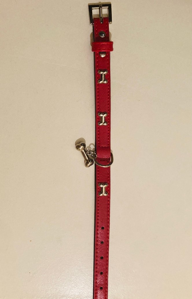 Kırmızı Kemik Detaylı, Deri Köpek Tasması - Görsel 2