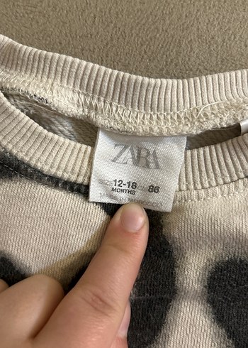 Erkek Gri Pamuklu Baskılı Sweatshirt - Görsel 2