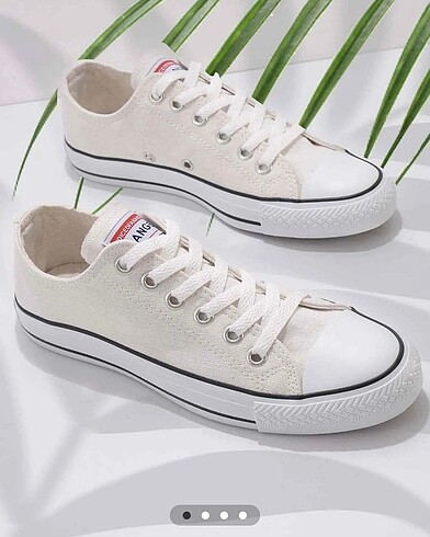Bambi converse