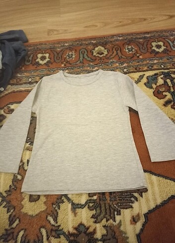 LC Waikiki Erkek bebek sweatshirt 